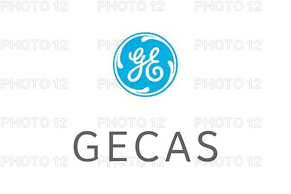 GE Capital Aviation Services, Logo