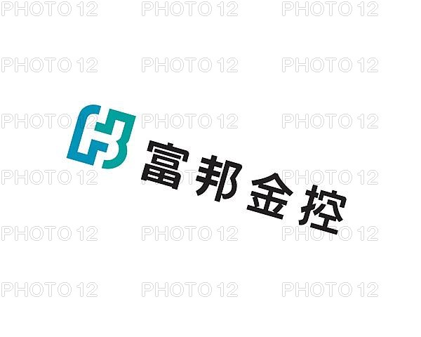 Fubon Financial Holding Co. rotated logo, white background B