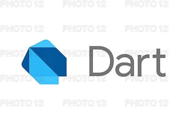 Dart programming language, Logo