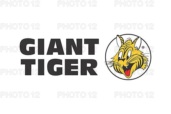 Giant Tiger, Logo