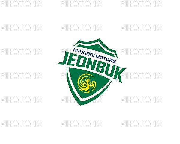 Jeonbuk Hyundai Motors FC, Rotated Logo