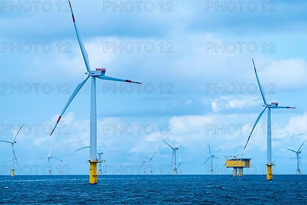 Offshore wind farm Meerwind, economic zone