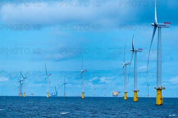 Offshore wind farm Meerwind, economic zone