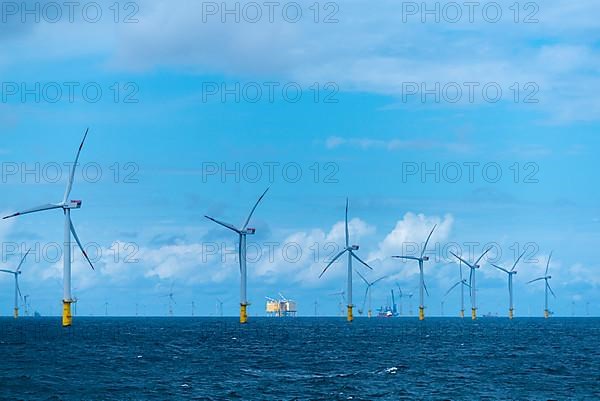 Offshore wind farm Meerwind, economic zone