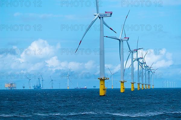 Offshore wind farm Meerwind, economic zone