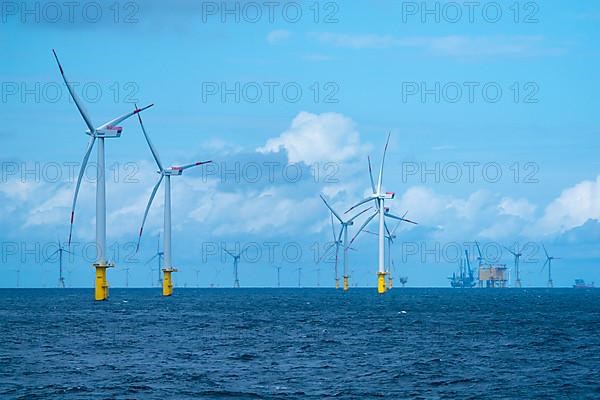 Offshore wind farm Meerwind, economic zone