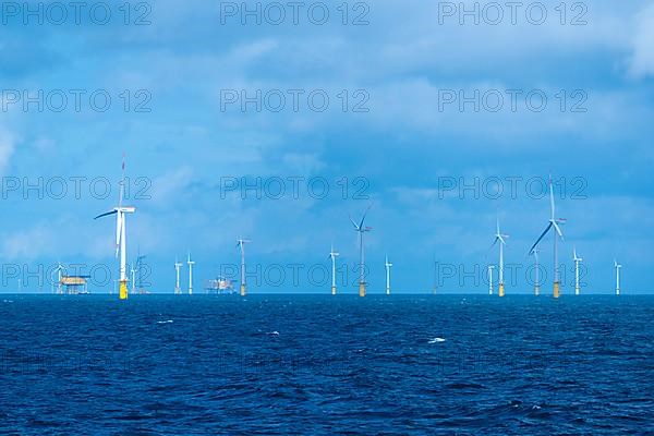 Offshore wind farm Meerwind, economic zone