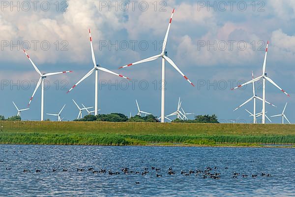 Wind turbines in the Reussenkoege marshes, North Friesland