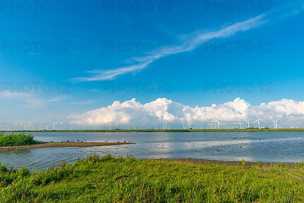 Wind turbines in the Reussenkoege marshes, blue sky