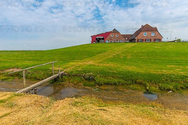 Hallig Nordstrandischmoor, Neuwarft