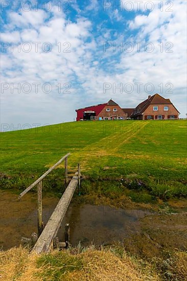 Hallig Nordstrandischmoor, Neuwarft