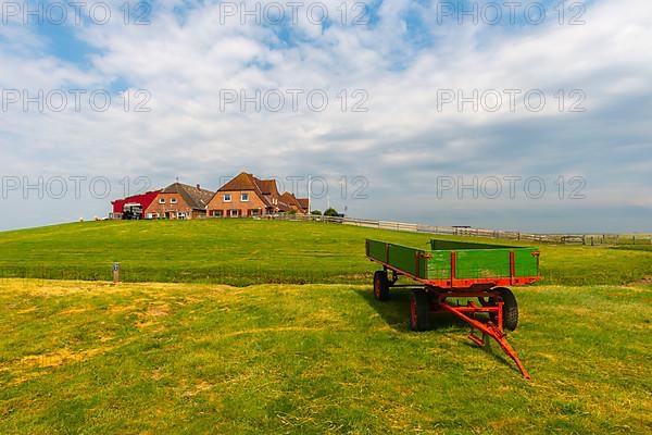 Hallig Nordstrandischmoor, Neuwarft