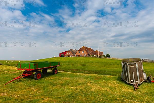 Hallig Nordstrandischmoor, Neuwarft