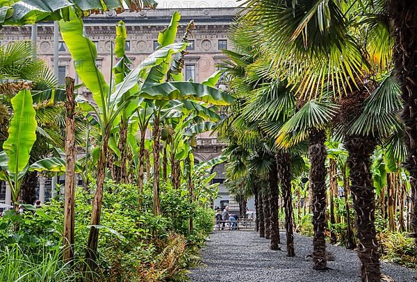 Palm Trellis in Piazza del Duomo, Cathedral Square