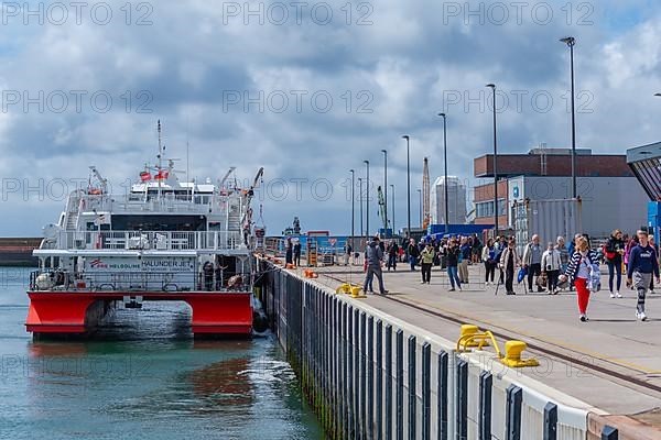 Arrival of the excursion ship in the outer harbour, catamaran Halunder Jet