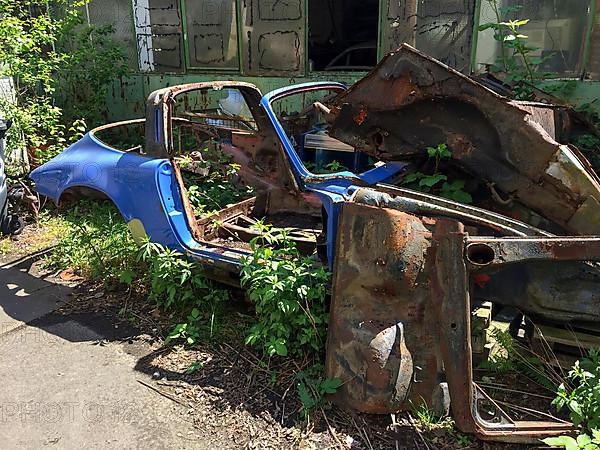 Rusty body of wreck historical classic sports car classic car Porsche 911 Targa lies in backyard is overgrown by plants, Germany