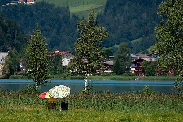 Two parasols, reeds