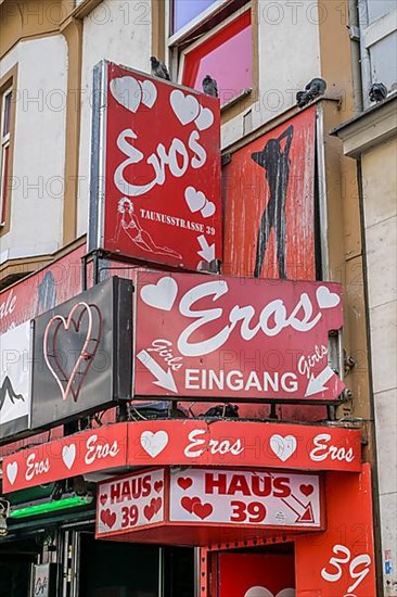 Eros Centre, Cafe Montana