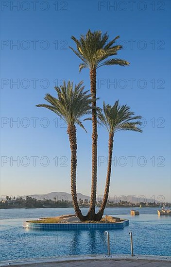 Infinity pool, Nile