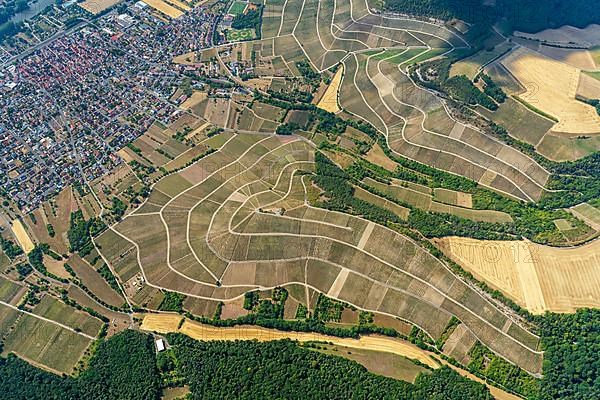 Aerial view of vineyards in Thuengersheim, municipality