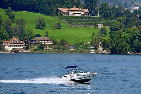Motorboat and lakeside Meggenhorn, Lucerne