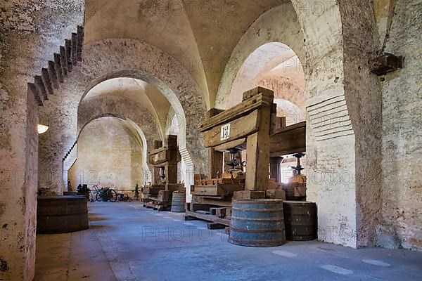 Lay refectory with historic wine presses, dining room of the lay brothers