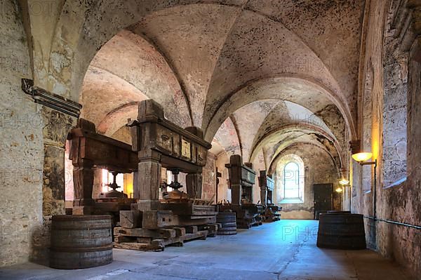 Lay refectory with historic wine presses, dining room of the lay brothers