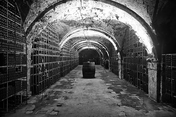 Treasury, secured and temperature-controlled wine cellar of the Hessian State Wine Estates