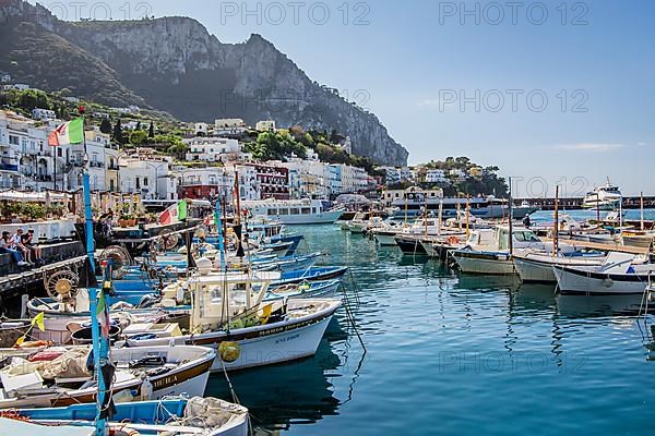 Marina Grande fishing harbour with fishing boats, Capri