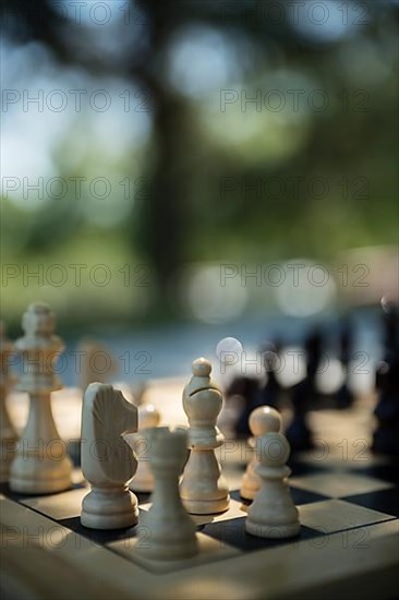 Chess game, wooden pieces