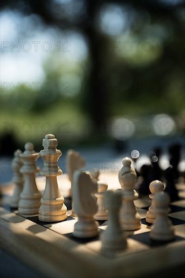 Chess game, wooden pieces