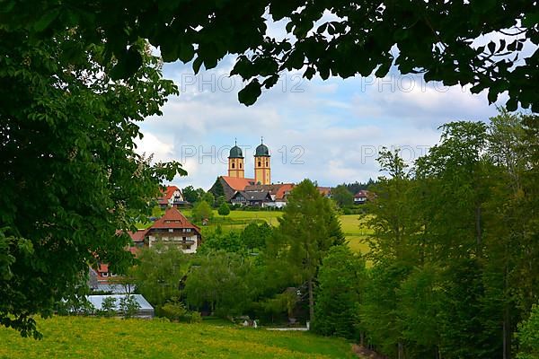 Black Forest