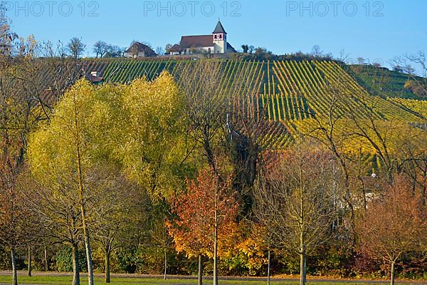 Baden-Wuerttemberg