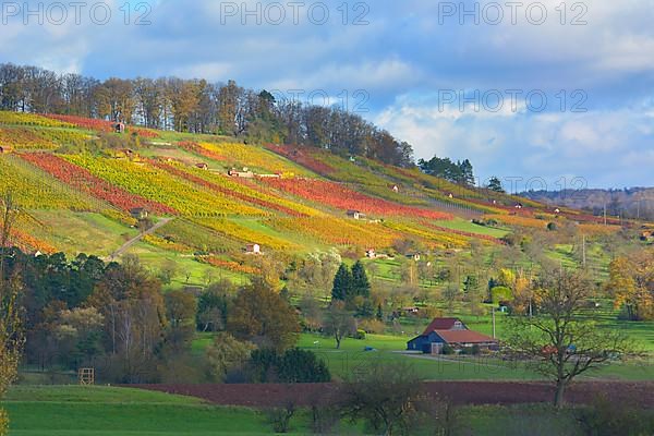 Maulbronn