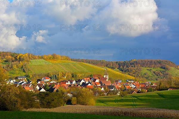BW. Wuerttemberg wine landscape in autumn near Haefnerhaslach