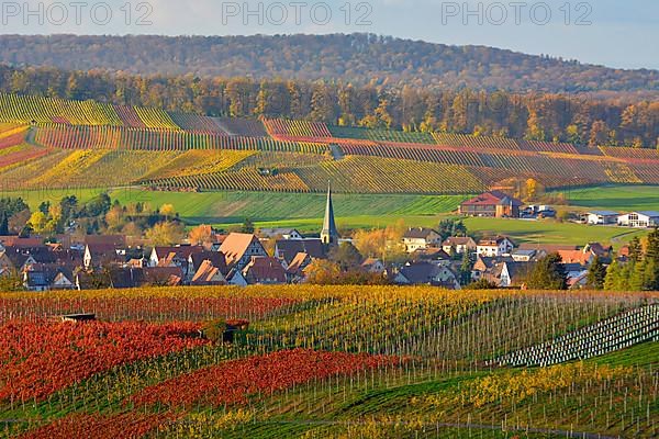 BW. Wuerttemberg wine landscape in autumn near Kleingartach