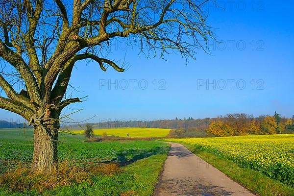 BW. Wuerttemberg Autumn landscape