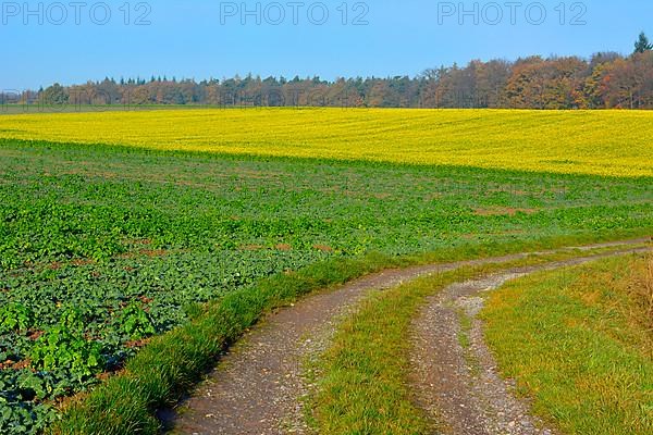 BW. Wuerttemberg Autumn landscape