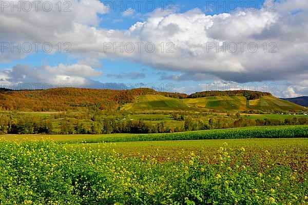 BW. near Guendelbach