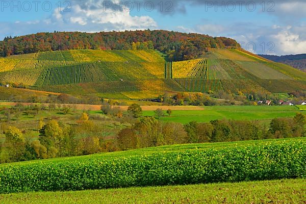 BW. near Guendelbach