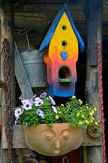 Bird nest box in the garden