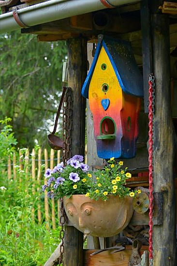 Bird nest box in the garden