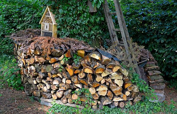Firewood store in the garden