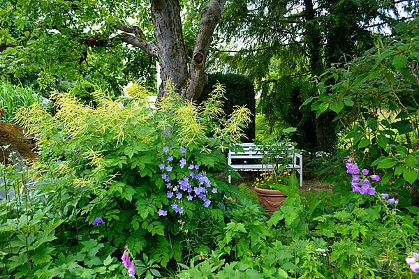 White garden bench