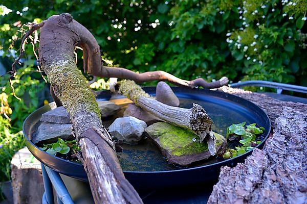 Birdbath in the garden