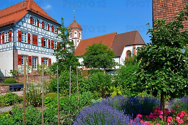 Farm garden