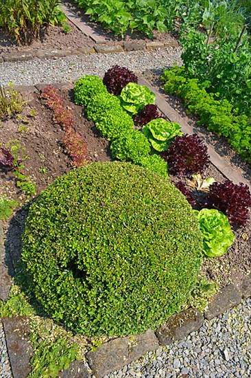 Farm garden