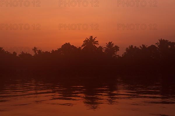 Sunrise on Kerala Backwaters. Kerala