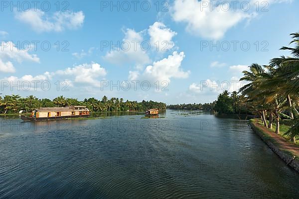 Houseboats on Kerala backwaters. Kerala