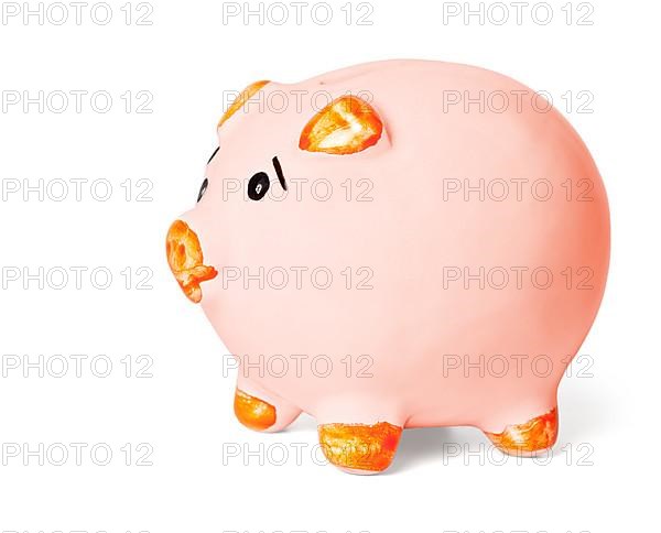 Piggy bank isolated on white background